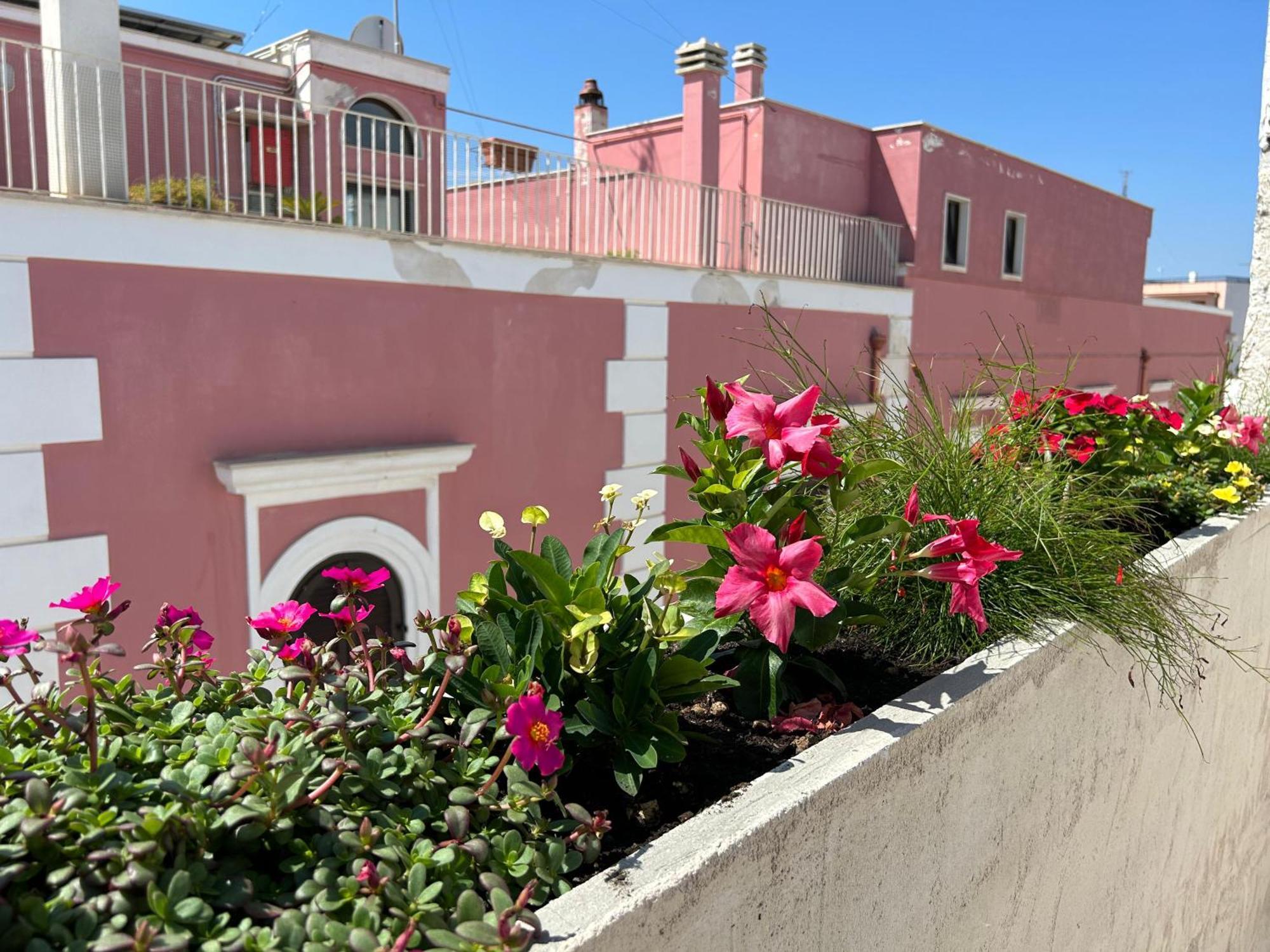 Trame Dimora Rachele Bed and Breakfast Polignano a Mare Eksteriør billede